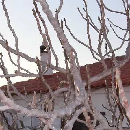 Hébergement de vacances Casa Papoula